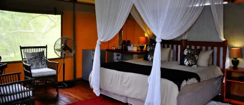 Accommodation at Lion Tree Top Lodge near Orpen Gate
